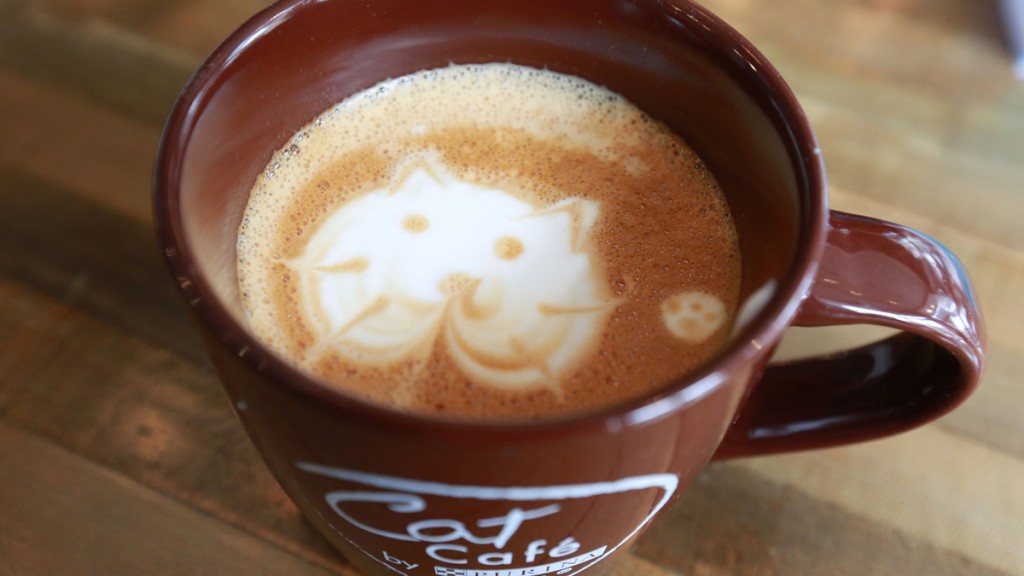 猫カフェに行くなら横浜がおススメな７つの理由