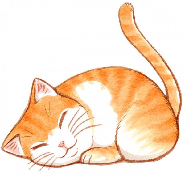 猫のイラストを描くならこう描け ７つの書き方 猫画像どっと 猫ブログ